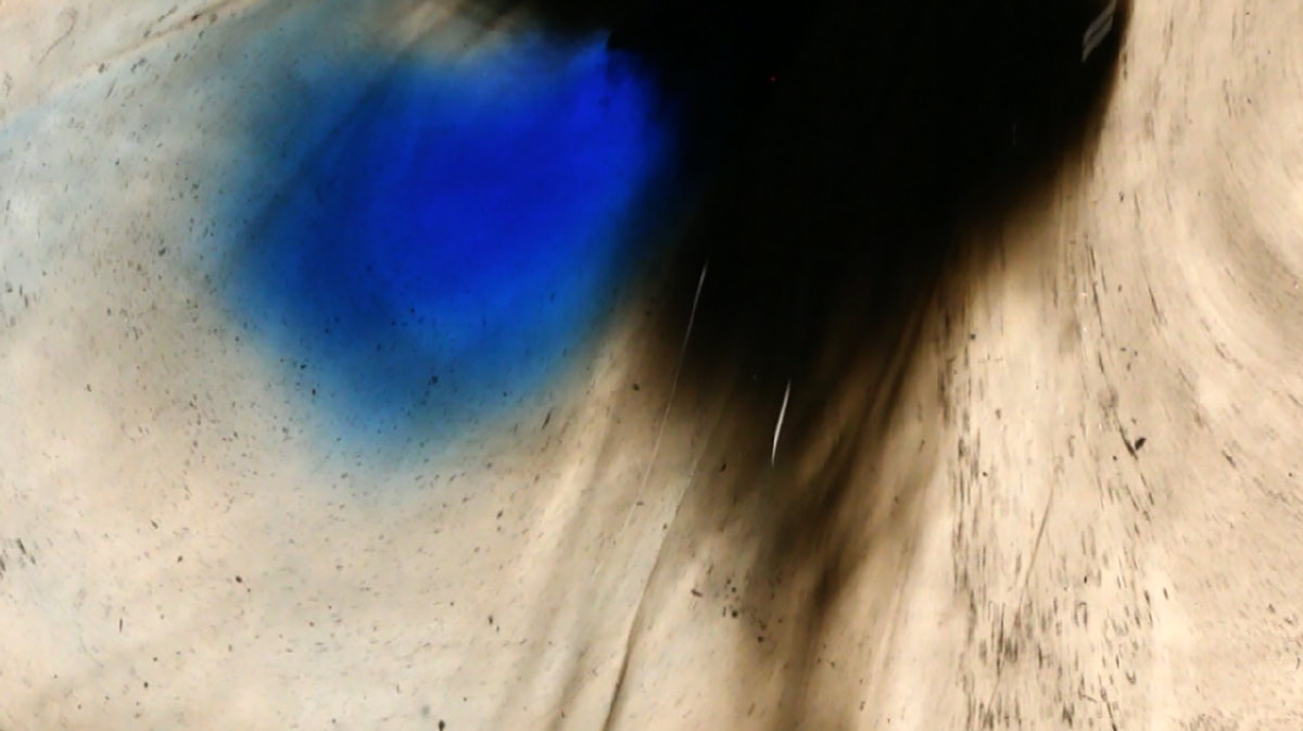 Rocio Manzano tweet media