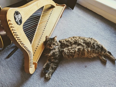 Schrödingers Strings tweet media