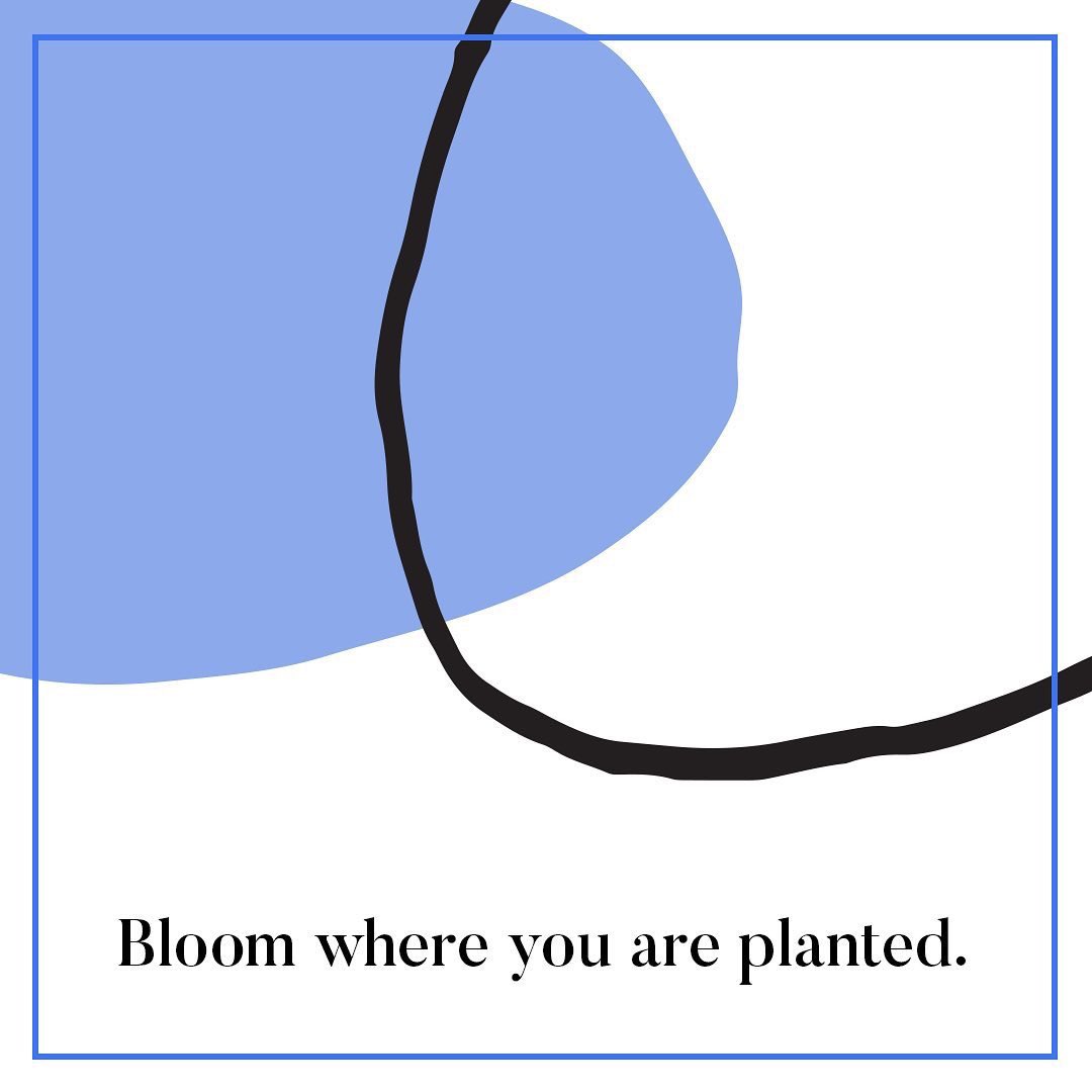 Spinunity’s 30 Days of Gratitude Challenge #spinunity 

DAY 24: Make a plan to buy yourself fresh flowers