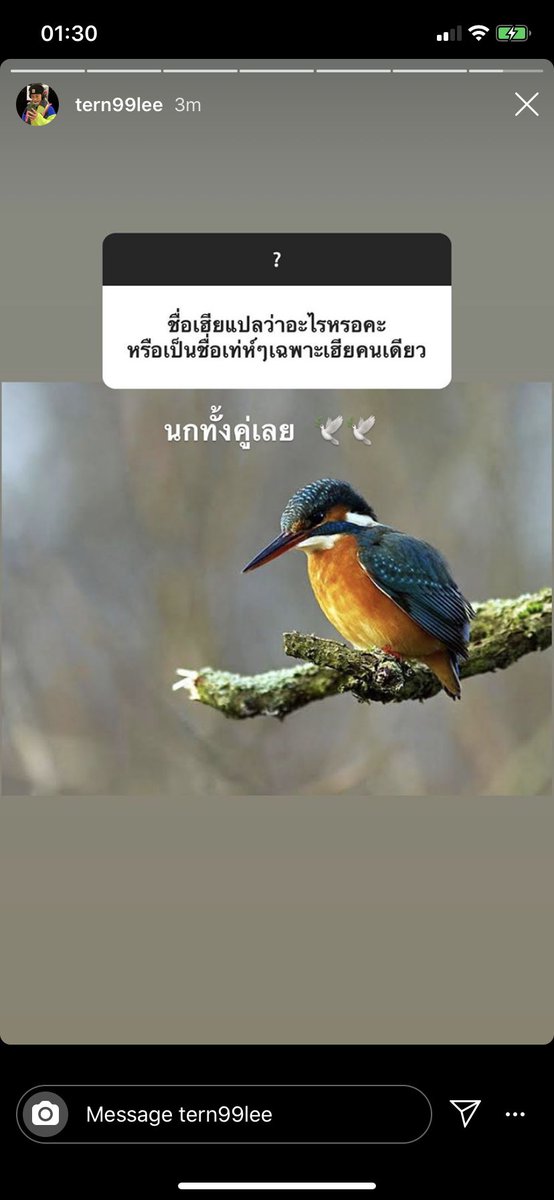 aปุ้ม tweet media