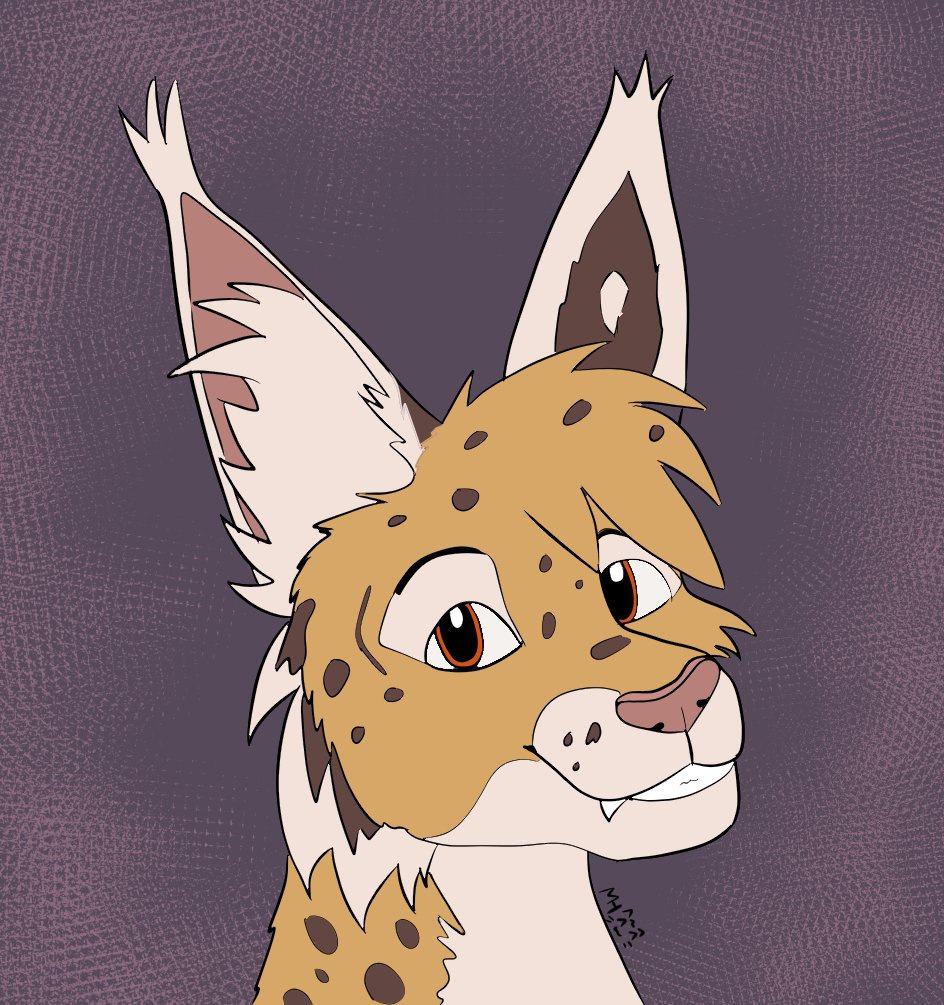 Melfox_14's tweet photo. ☆Commissions open ☆

Emote $10 per emote
Sketchy icon/bust $25
Half body $50
Full body $80
Extra characters +half cost

Traditional options as well! 
https://t.co/F1rF9KJuJX

Please consider donating:
https://t.co/9ITMGJd6oV https://t.co/s4tPOI83b8