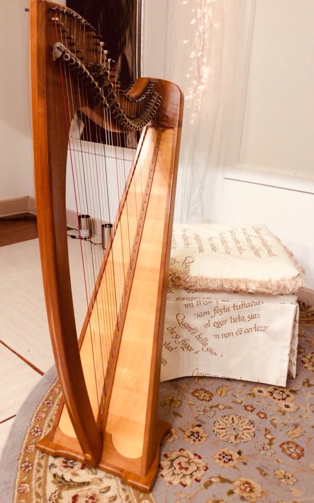 Shana Norton tweet media