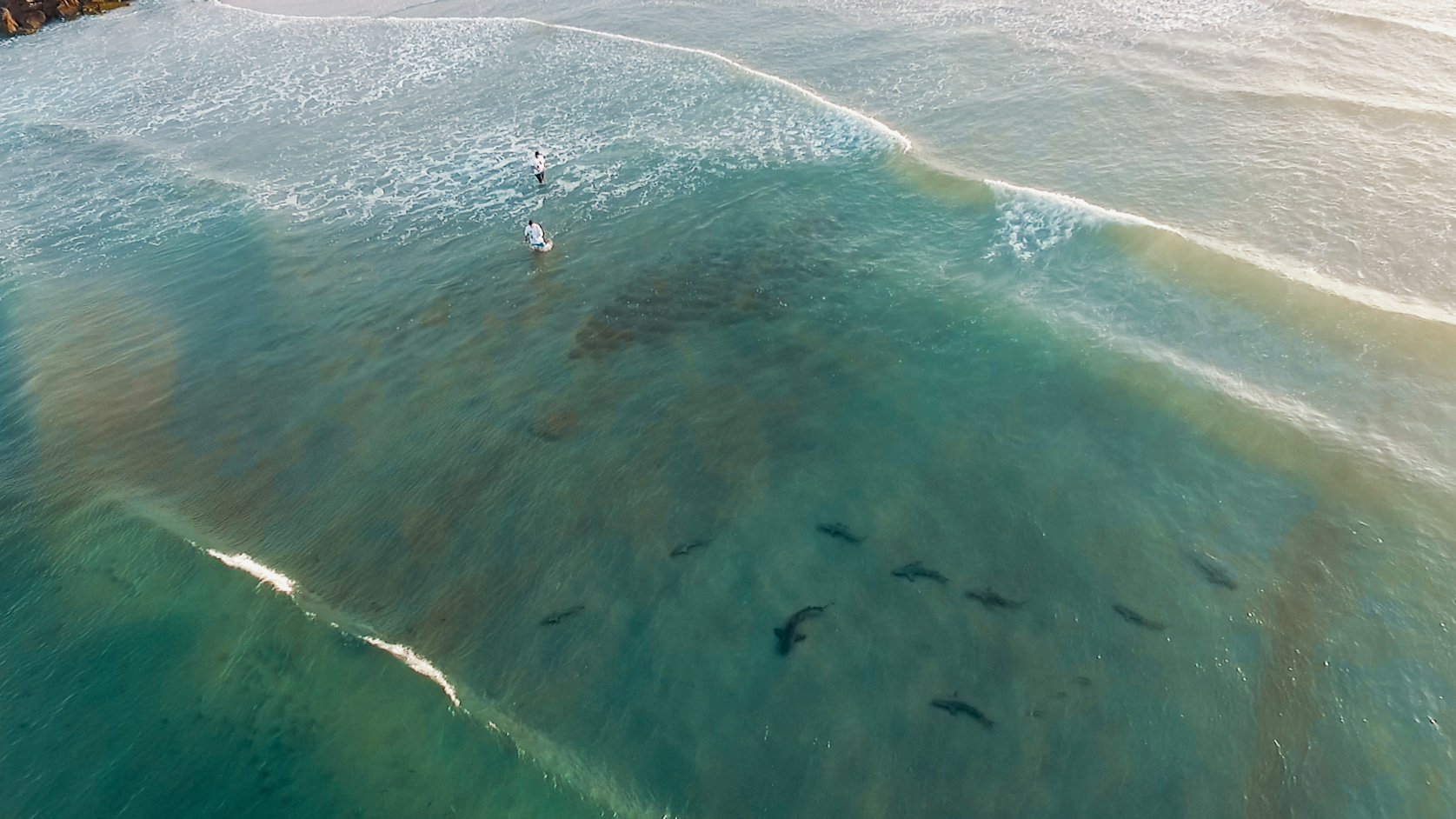 Yp New Smyrna Beach Is The Shark Bite Capital Of The World Can You Imagine Why T Co Ao3ecnpkzv Twitter