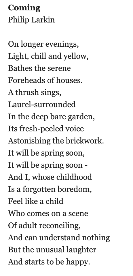today's flower picture/poem duo, brought to you by Phillip Larkin: