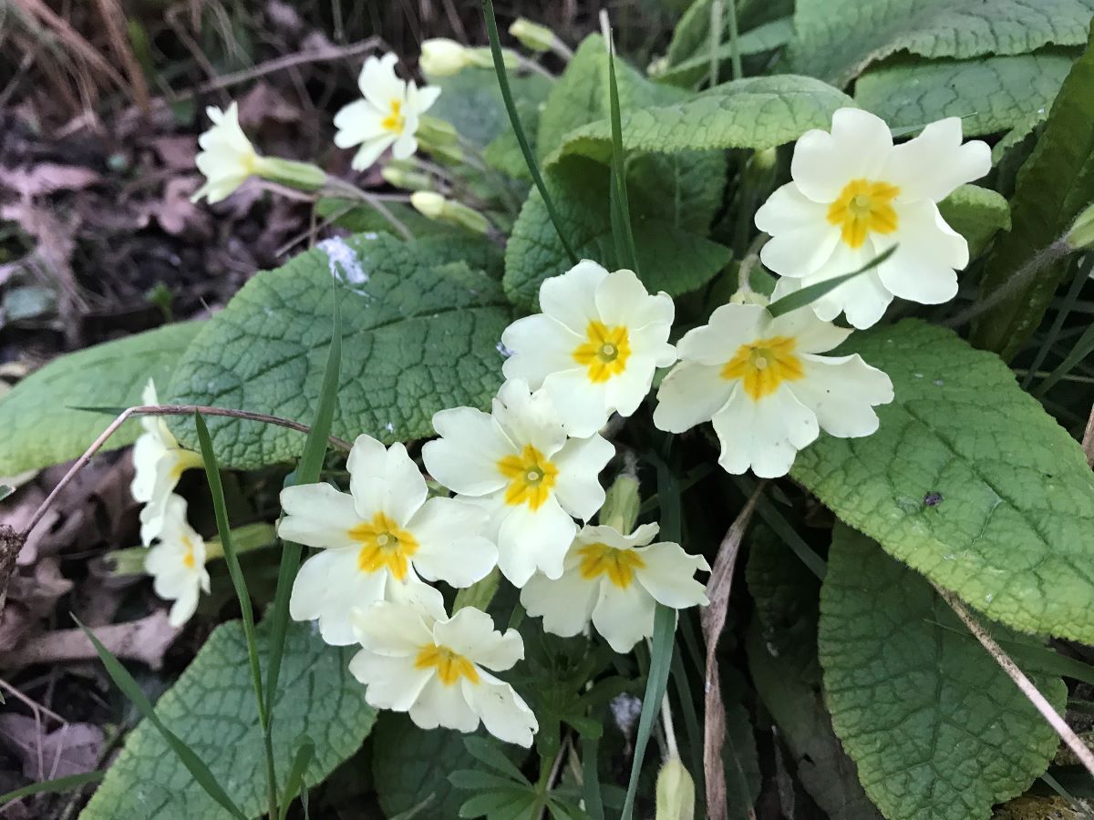 Delivery &amp; Discount offer - mailchi.mp/63c2e42c2c9e/d…