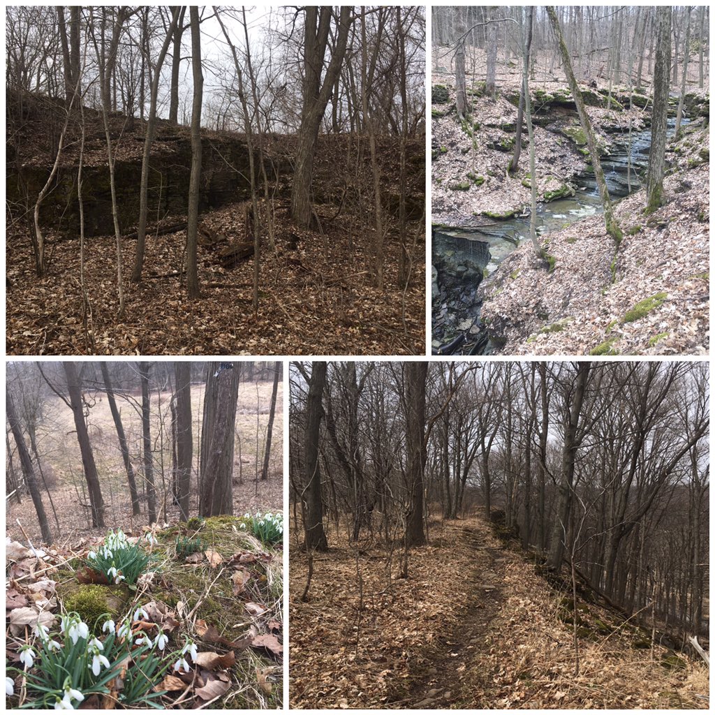 Dave_Augustyn's tweet photo. Mid-week of our #MarchBreak, #Staycation, we practiced #HealthySpacing while walking 4km along the @BruceTrail_BTC near @HenryofPelham.
#Tranquil #Refreshing
And thanks to @Enbridge for sponsoring a portion of that trail. https://t.co/SZ8EF78QGy