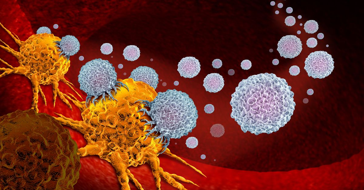 invivoantibody's tweet photo. @nature published Optimization of 4-1BB antibody for #cancer #immunotherapy by balancing agonistic strength with FcγR affinity.
Learn more and have access to the full article at the link below.
https://t.co/xYKeEJzBqu
#Bio_X_Cell #invivoantibody #41BB https://t.co/uyBMxXt8Kv
