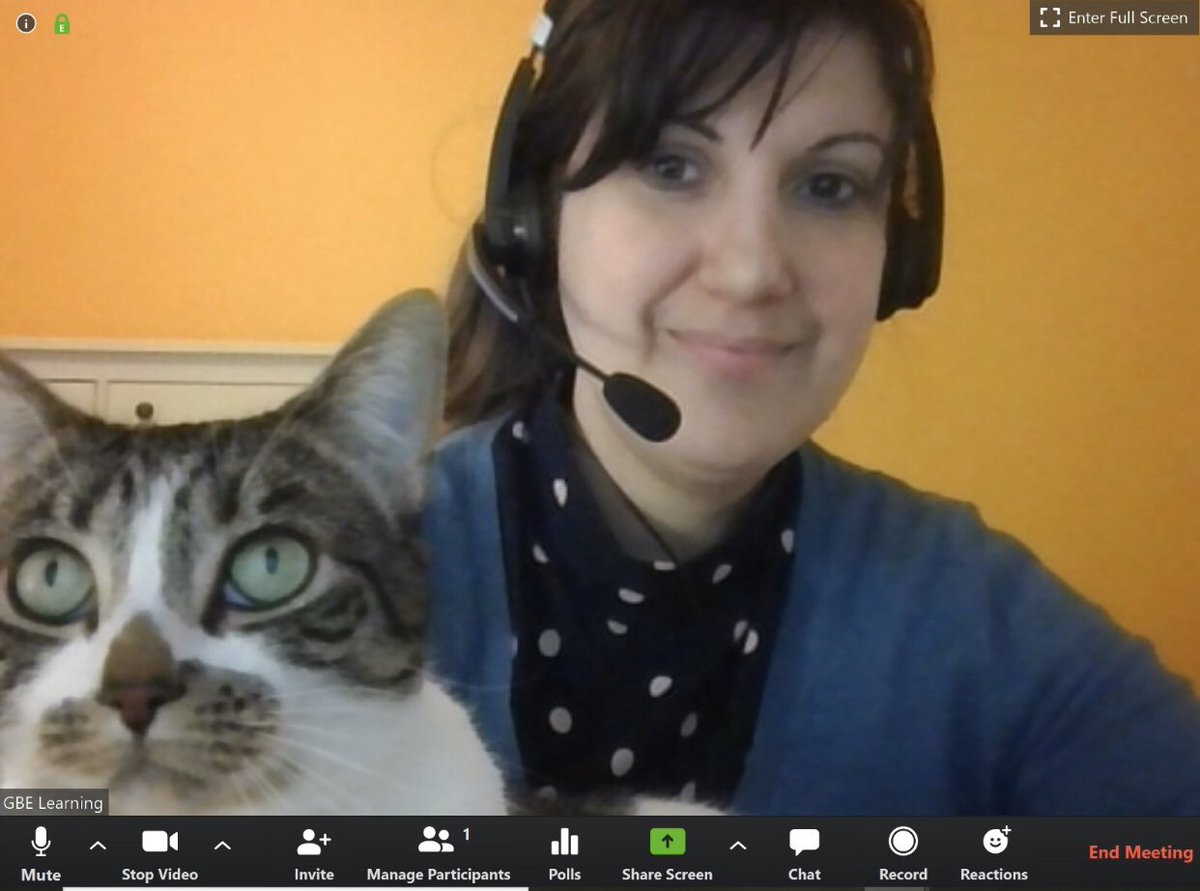 Working from home :)