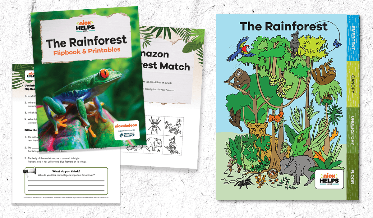 Rainforest Alliance tweet media
