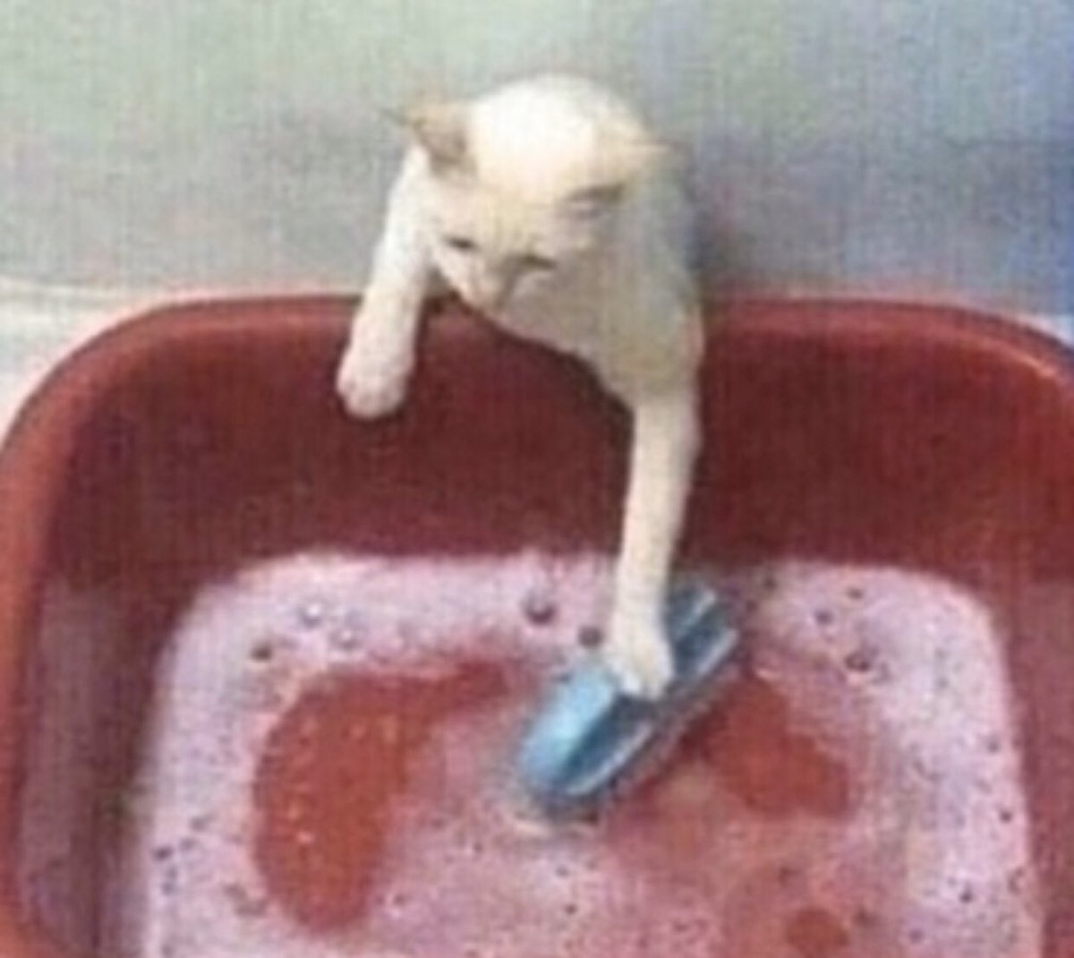 so fucked up that these gentlemen are forced to work during this pandemic