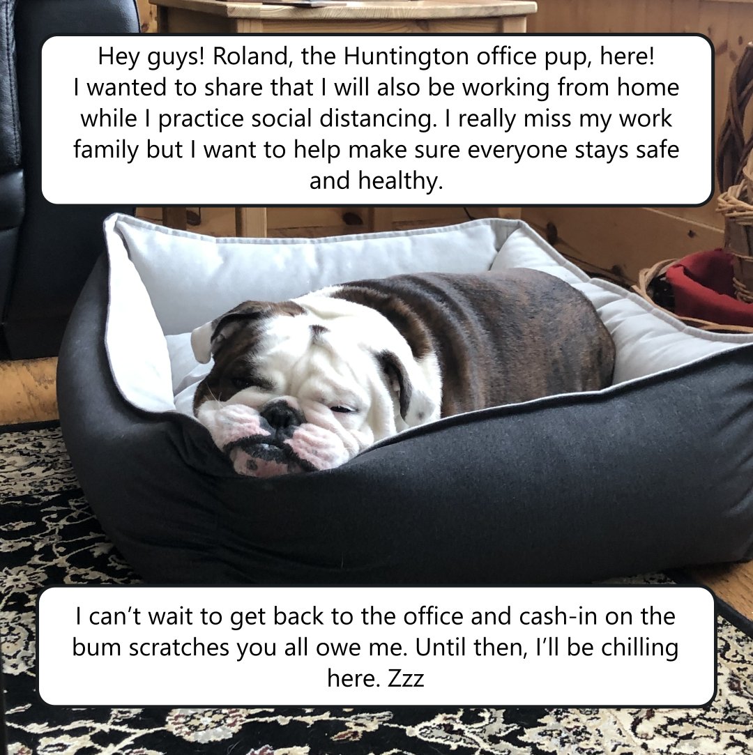 HuntingtonProps's tweet image. 