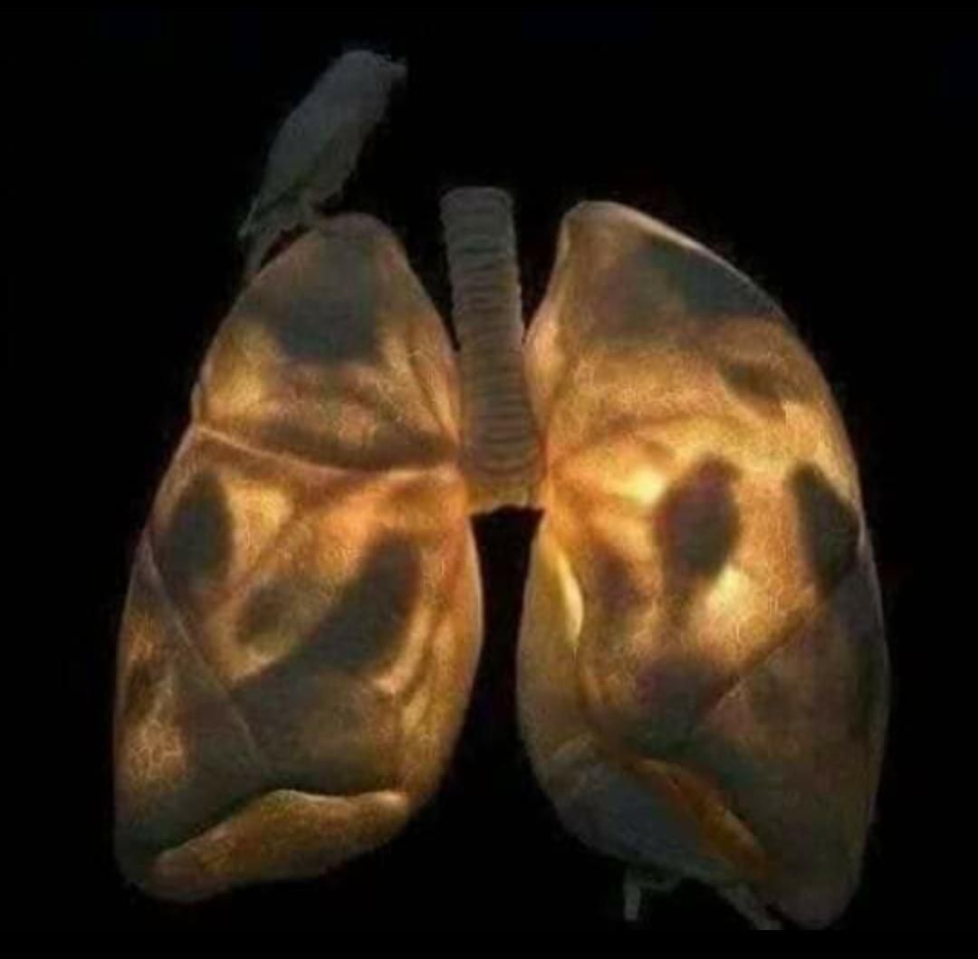 قررت الرحيل  😭  وفجأة!!!
شعرت بشيء  يجذبني  الى. الوراء...
فقلت في نفسي 🤔
أهو الحب  😍  أم هو الحنين.  💔
طلع الكوت ...
 ماسكه مسمار الباب من الخلف

😭😭😭😭😭😭💔