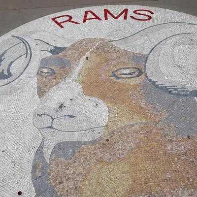 Terry McCormick tweet media