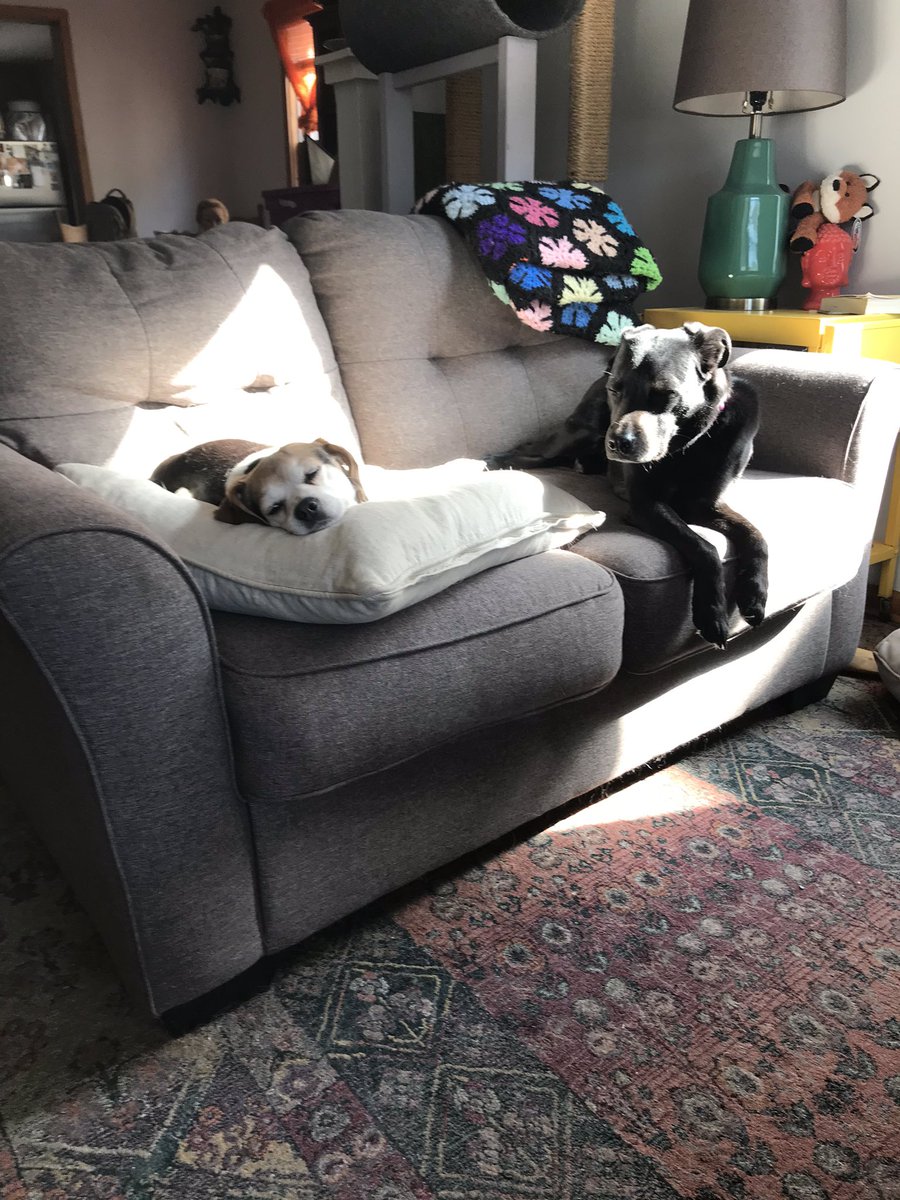 jazmanimal's tweet photo. @WCCO Lazy days for all! https://t.co/w1u5tWjUVd