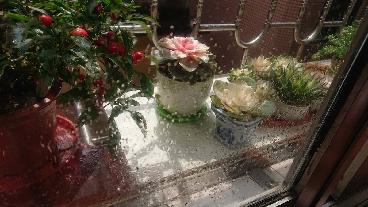 CharaSpc's tweet image. 落雨