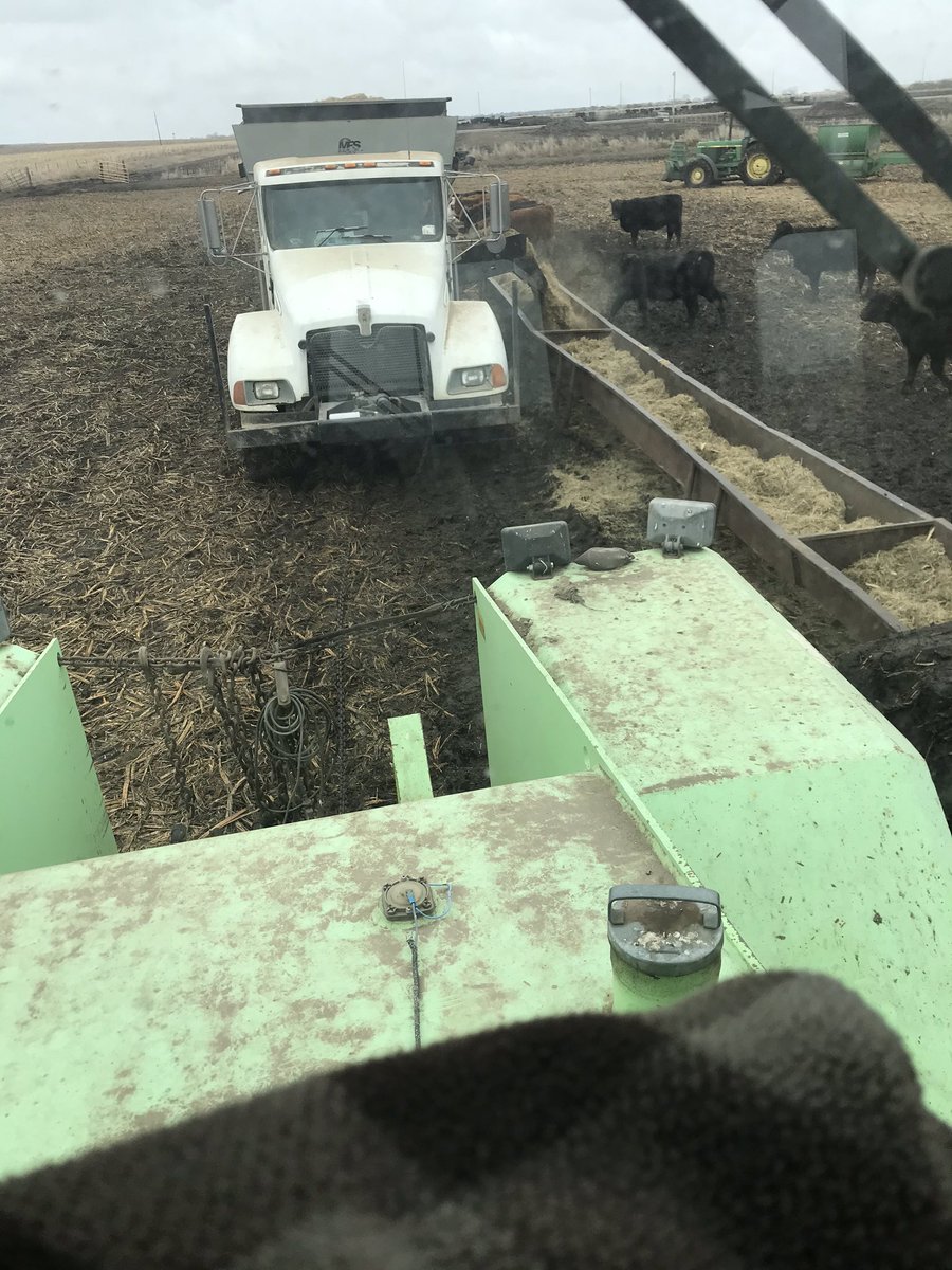 Tales from the Feedyard (Uncensored) tweet media