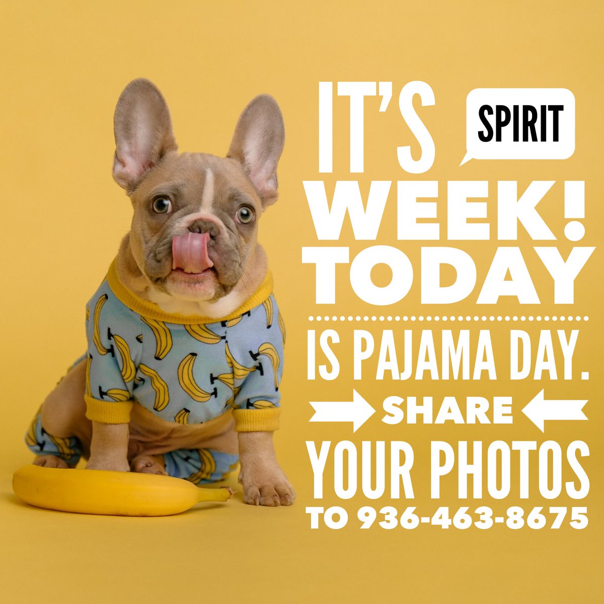 Thanks you for showing your school spirit! #tesbulldogs <a href="/WallerISD/">Waller ISD</a> #WISDgreatness