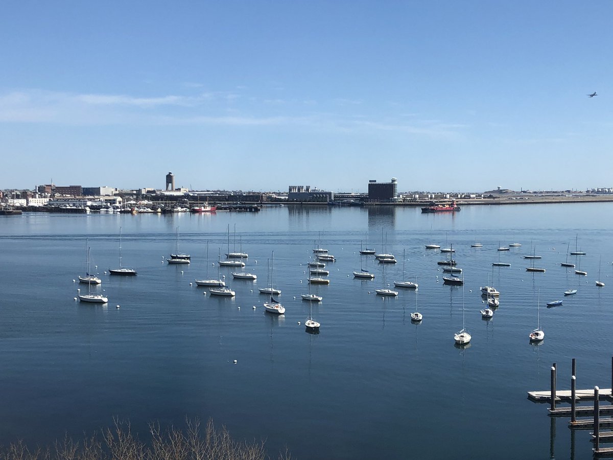 Boston Harbor Today tweet media