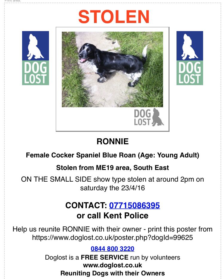 rosieDoc2's tweet photo. #PetTheftAwarenessWeek
#SpanielHour STOLEN 2pm female #CockerSpaniel blue roan/young adult 23/4/16 #WestMailing #KENT #ME19 small/show type #Spaniel
So many around this area within small amount of time
‼️‼️‼️‼️RONNIE‼️‼️‼️‼️
https://t.co/zMxlO2xqNM https://t.co/QUzsPZahz0