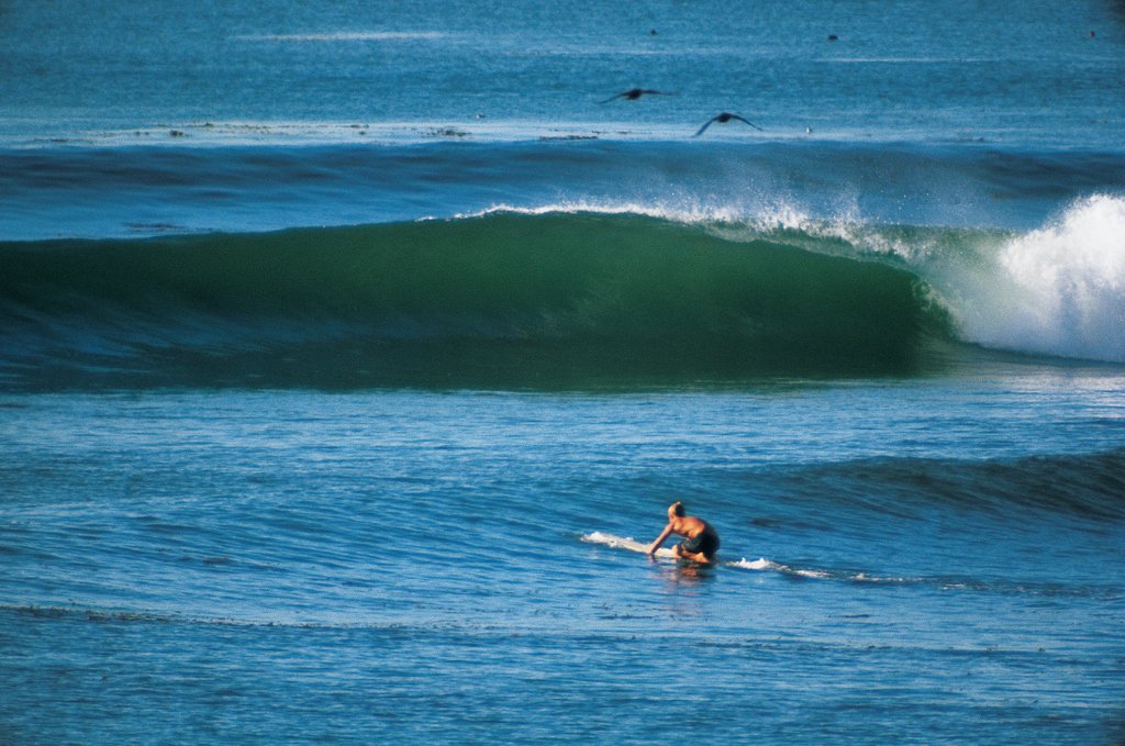 SurfersJournal tweet picture