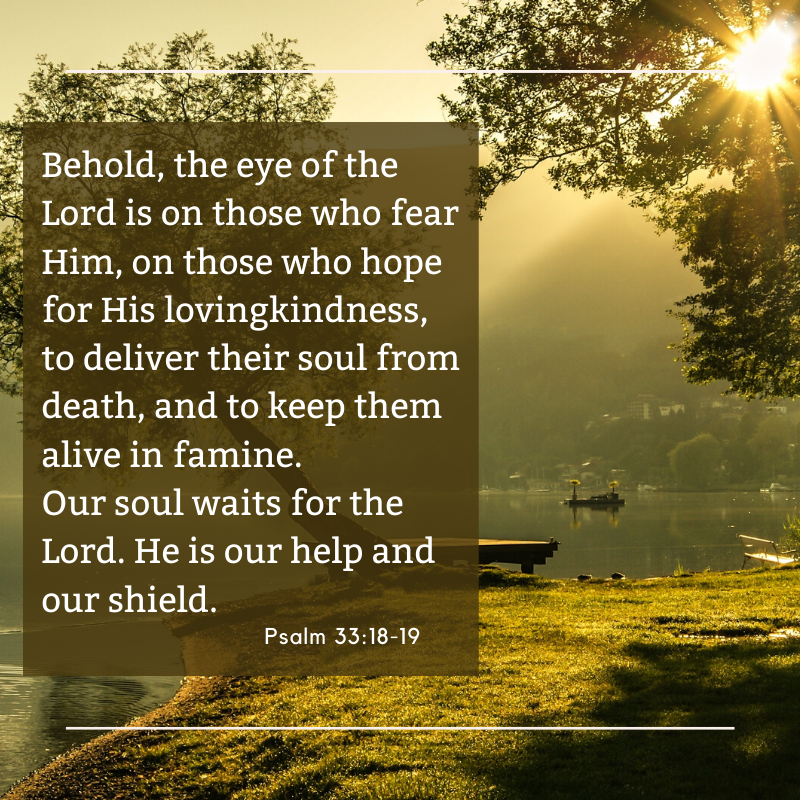 LeakeThomas's tweet photo. If your life belongs to the Great Shepherd of the Sheep, be comforted. We have multiple promises from God concerning our ultimate protection.
#discoverHT #discoverHopetoday https://t.co/NkoBTUJkTC