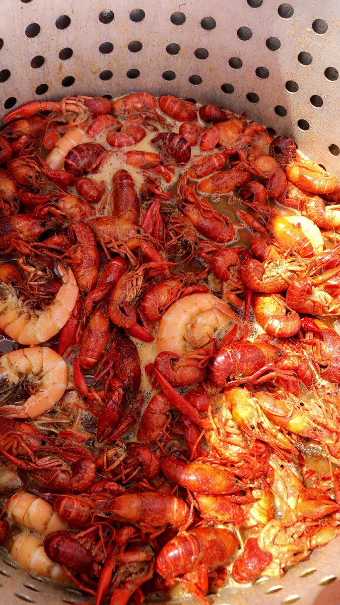 Chef_Meatball👨🏾‍🍳 tweet media