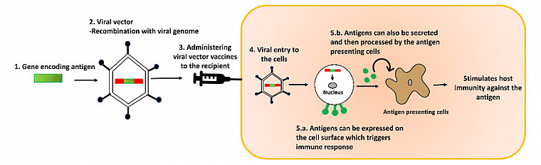 SolarisBiotech's tweet photo. Researchers In Israel Are Using @SolarisBiotech Bioreactors to Develop #Vaccine Against Novel #Coronavirus #COVID19 

https://t.co/oFKINZbTnm https://t.co/BCmXVNMA9x