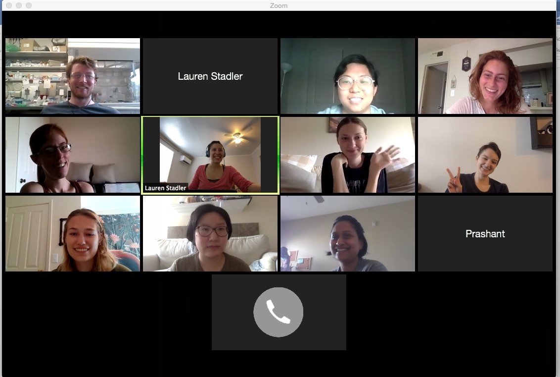 All smiles at our virtual lab group meeting today! We are stopping all non-essential experimental work and hunkering down at home. Looking forward to many more video conferences, coffee breaks, and journal clubs with these amazing, smart, and resilient people!