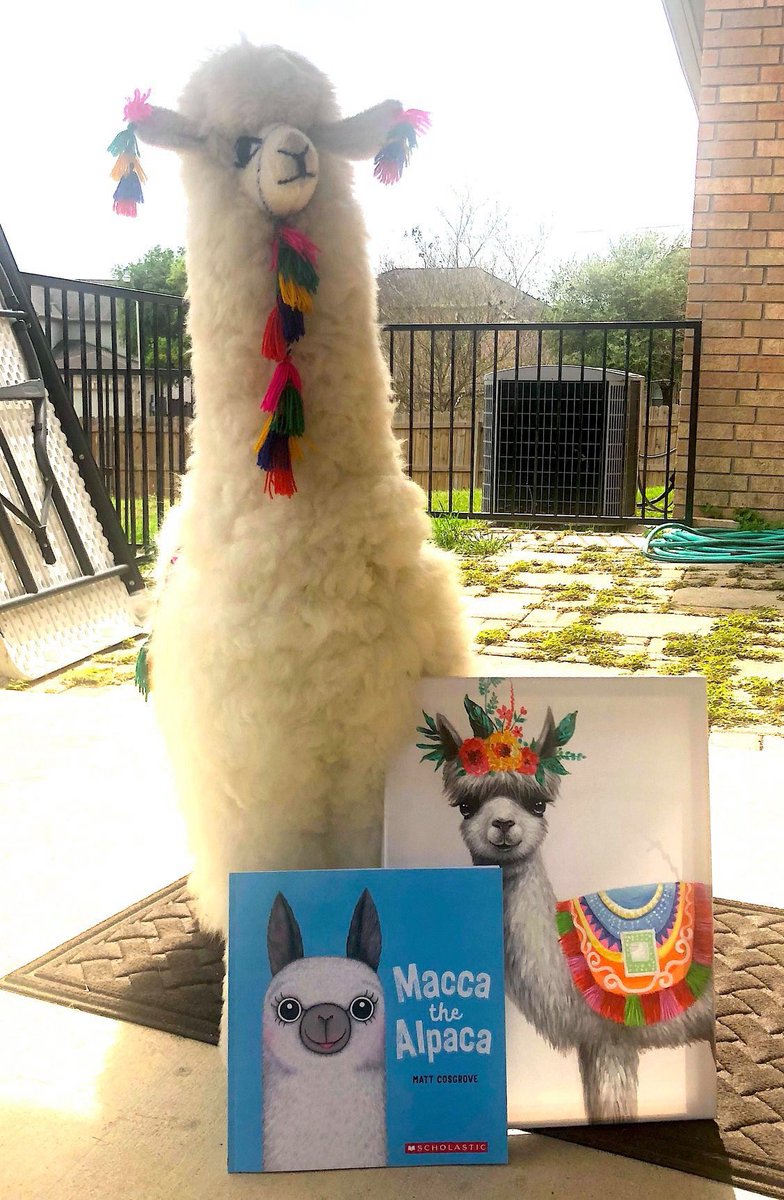 Tune in to our CISD Morningside Facebook page at 7pm this evening for tonight's 'Morningside Teacher Feature'! Can you guess who tonight's special guest will be????🦁🍎
#comalcontinues #MESistheBEST <a href="/AshleyFredo/">Ashley Fredo</a> <a href="/Supt_comalisd/">Andrew</a>