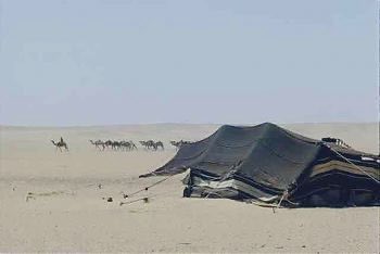 تاريخنا العظيم tweet media