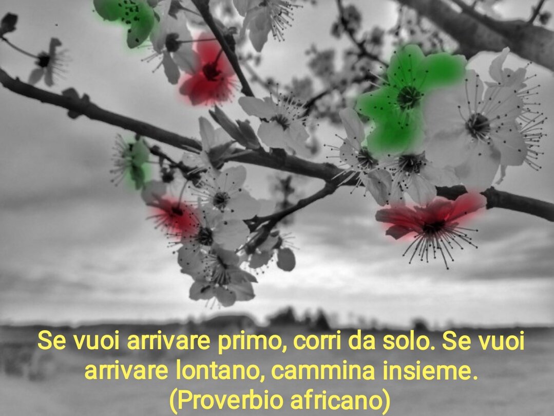 Giorgio_Dilena (@giorgio_dilena) on Twitter photo 