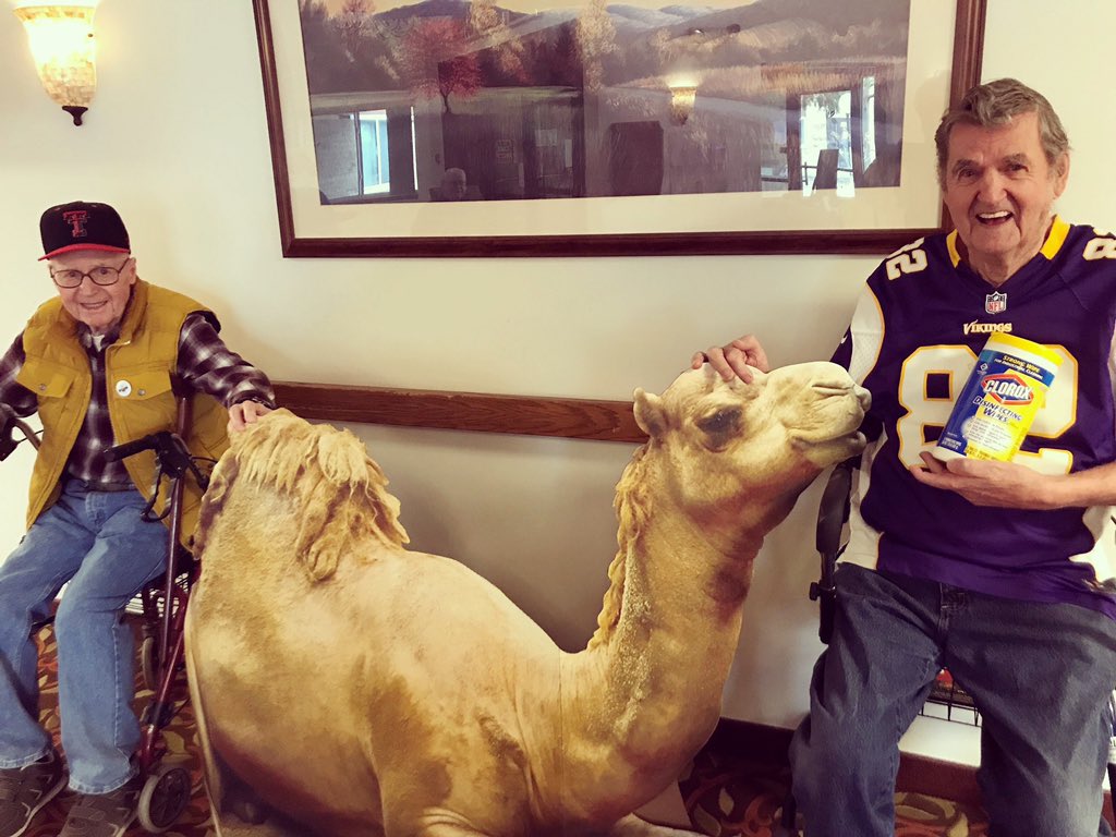 marytinc's tweet photo. It's Wednesday so Pete the camel is back. This week he's taken on new job responsibilities as Chief Social Distancing Officer of Margaret Place Senior Apartments. Thanks Pete! 

#WackyWednesday #HumpDay #SixFeetPete #SocialDistancing #SeniorLivingFun #Covid19 https://t.co/i8IgflihMF