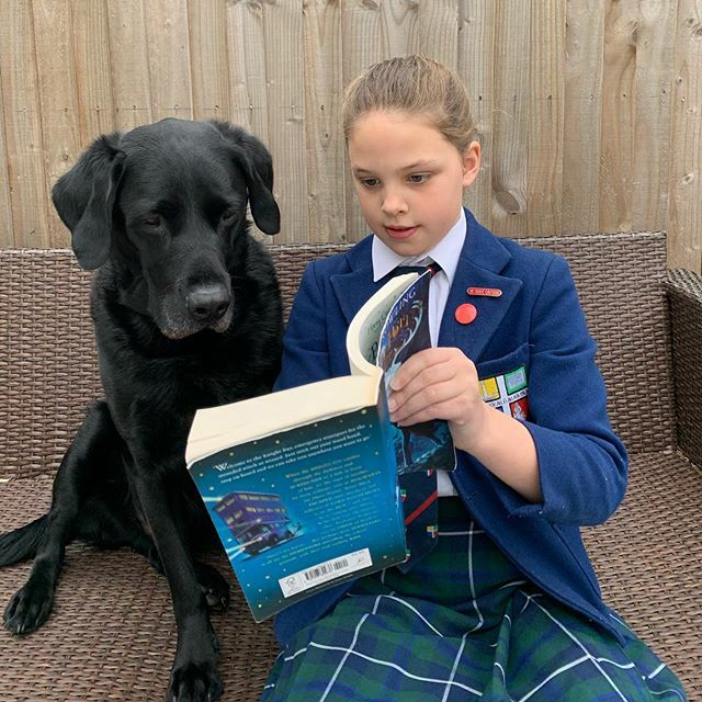 ❤️ The sweet moments ❤️
As we all take the coming weeks and months to compute what is happening, there is one thing I feel absolutely sure of. The moments of joy that we will experience during the toughest times will exceed your usual expectations. Those… ift.tt/2WnC52f