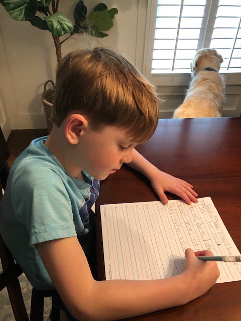 Rebatalie1st's tweet image. How to writing! Counting on a number line! Helping mom prepare a healthy snack! We love seeing what our virtual learners are doing! Keep the pics coming and check @seesawlearning for more fun (and laughs) from your teachers. #trinitylearns