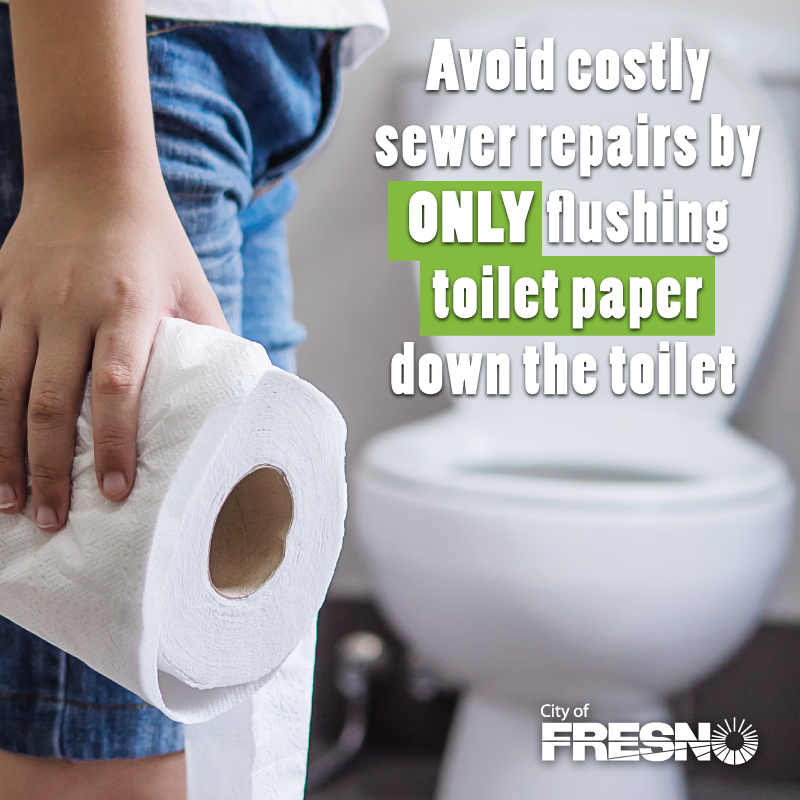 FresnoDPU's tweet photo. Besides human waste, the only thing that should be flushed down the toilet is toilet paper! Help avoid costly repairs by keeping all other items from being flushed. https://t.co/1ipHjqxlzg