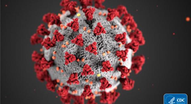 Illinois Department of Public Health officials confirmed Wednesday, March 18, that five individuals in Will County have tested positive for the coronavirus. bit.ly/2wmjbOP