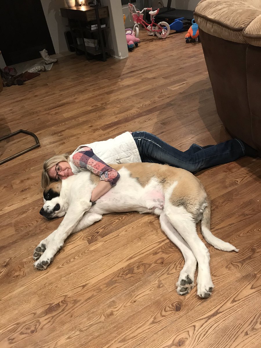 _cassi_jo_'s tweet image. My mom’s idea of #SocialDistancing 😆🐶