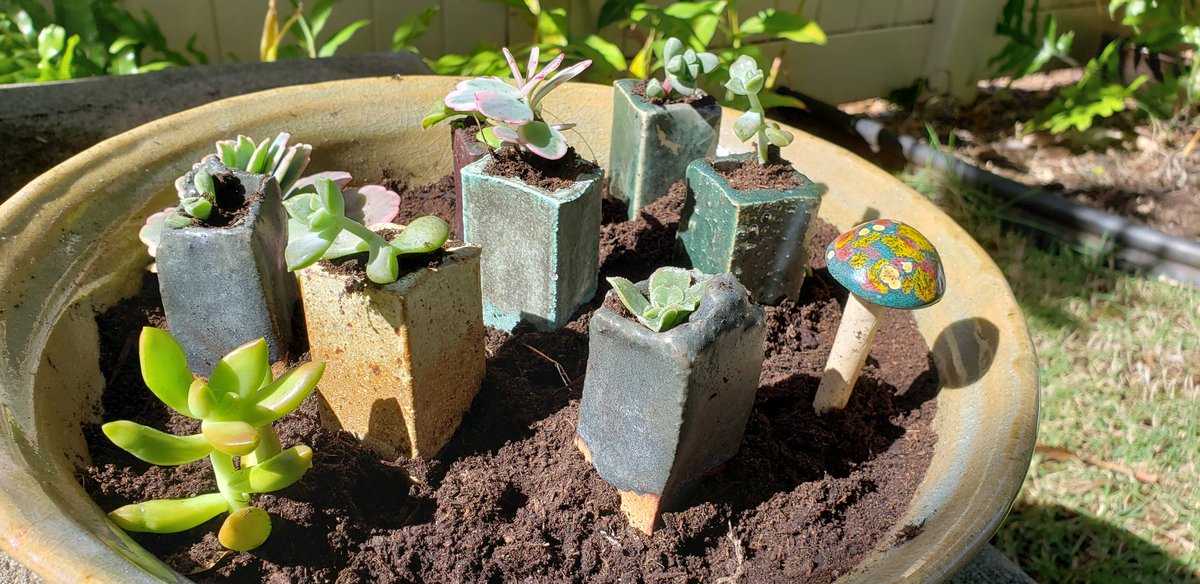 GaleGotart's tweet photo. Working in the garden#owlsonbreak https://t.co/yQLvHwwHfb