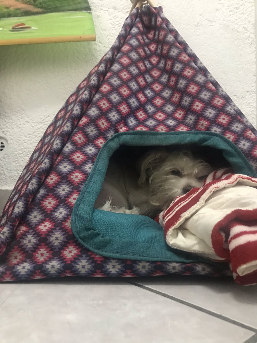 Don Valente tweet media