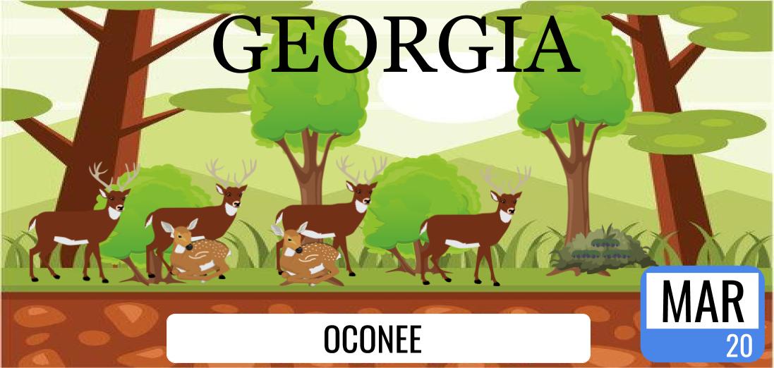 mrsknightWJES's tweet image. The License Plates are back! What would a Georgia license plate look like if it was designed by 4th graders?! These license plates are designed in #googledrawing based off of a wildlife creature that lives in Georgia! @GeorgiaDDS @GADeptofTrans @georgiadeptofed @OconeeCoSchools