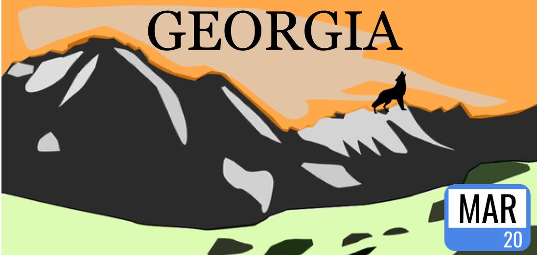 mrsknightWJES's tweet image. The License Plates are back! What would a Georgia license plate look like if it was designed by 4th graders?! These license plates are designed in #googledrawing based off of a wildlife creature that lives in Georgia! @GeorgiaDDS @GADeptofTrans @georgiadeptofed @OconeeCoSchools