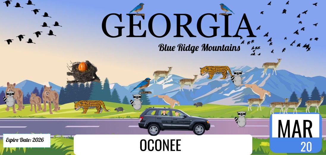 mrsknightWJES's tweet image. The License Plates are back! What would a Georgia license plate look like if it was designed by 4th graders?! These license plates are designed in #googledrawing based off of a wildlife creature that lives in Georgia! @GeorgiaDDS @GADeptofTrans @georgiadeptofed @OconeeCoSchools