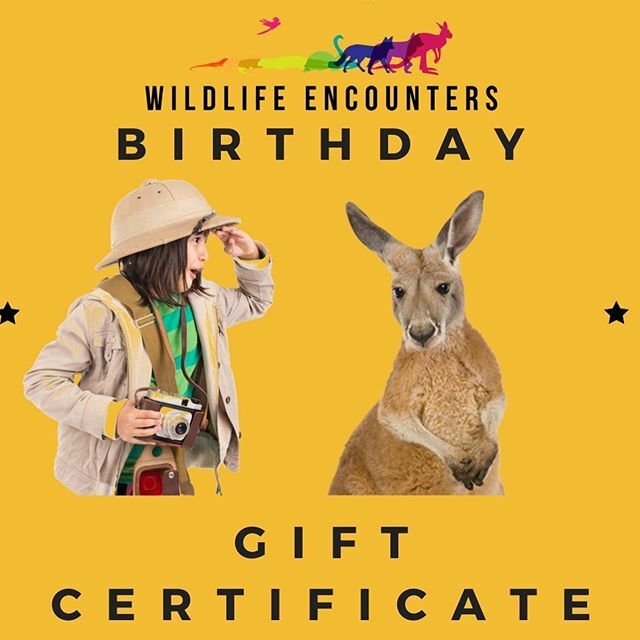 Dear friends, in the past few weeks Covid-19 has taken a toll on many throughout the world, including us here at Wildlife Encounters.  We will continue to have a need to feed animals, provide veterinary care, propane cost for heating our outbuilding and … ift.tt/2x4mSbU