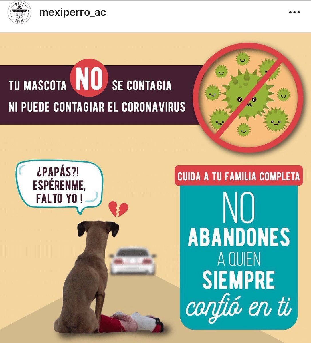 Ningún animal doméstico puede contagiarse de #covid_19 #covid ni contagiarte. Porfa ayúdanos a replicar este mensaje y evitar abandonos #COVID2019 #Covid_19mx #CoronaVirusChallenge #Coronavirusmexico #coronavirus