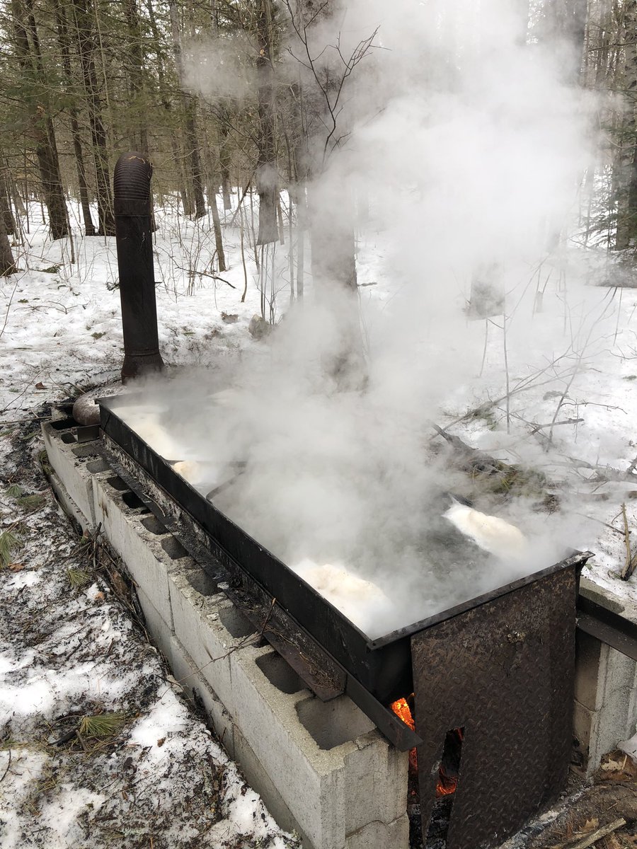 Sap boiling time!! #syrupseason #countryliving #itdoesntgetmuchbetterthanthis