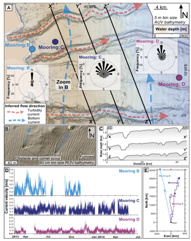 Mike Clare tweet media