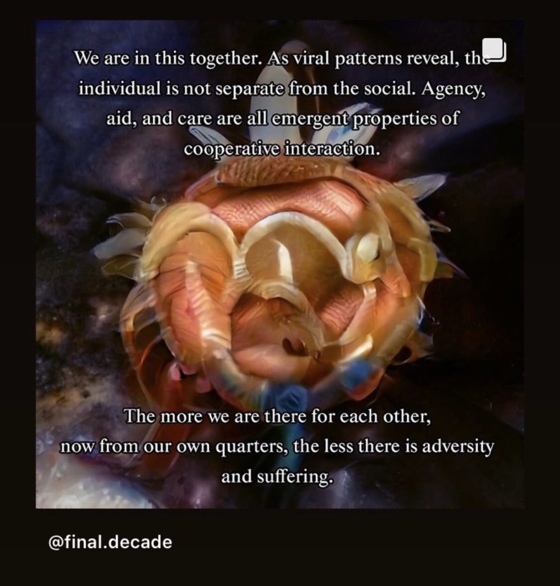 alexandravts's tweet image. Solidarity in the age of virus post said it all #londonlockdown #CoronavirusOutbreak #FightCOVID19 #FightCoronaTogether @FINALDECADE_CC instagram.com/p/B94b2x0lbqR/…