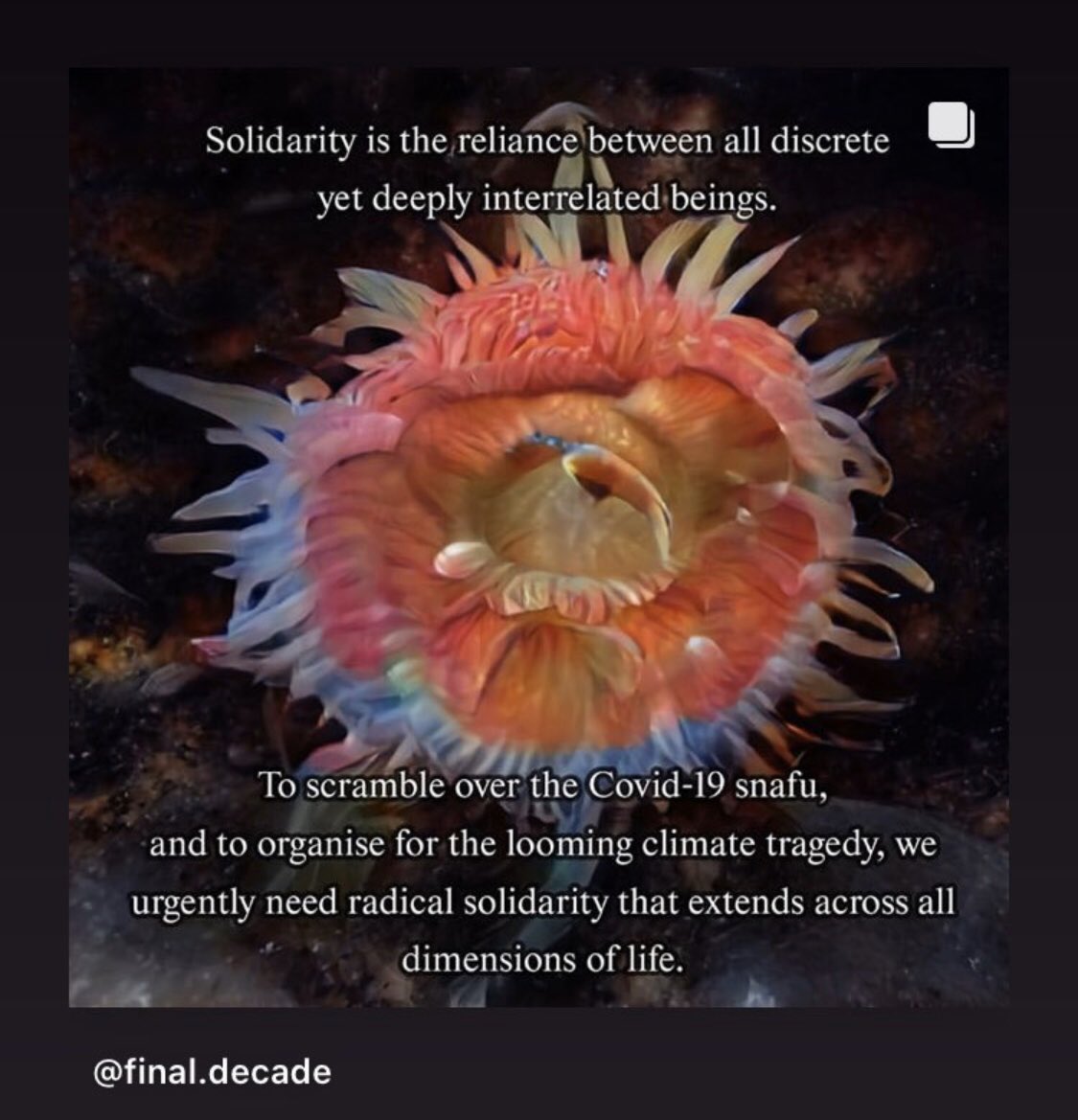 alexandravts's tweet image. Solidarity in the age of virus post said it all #londonlockdown #CoronavirusOutbreak #FightCOVID19 #FightCoronaTogether @FINALDECADE_CC instagram.com/p/B94b2x0lbqR/…