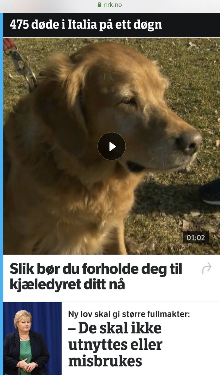 Øyulf Hjertenes tweet media