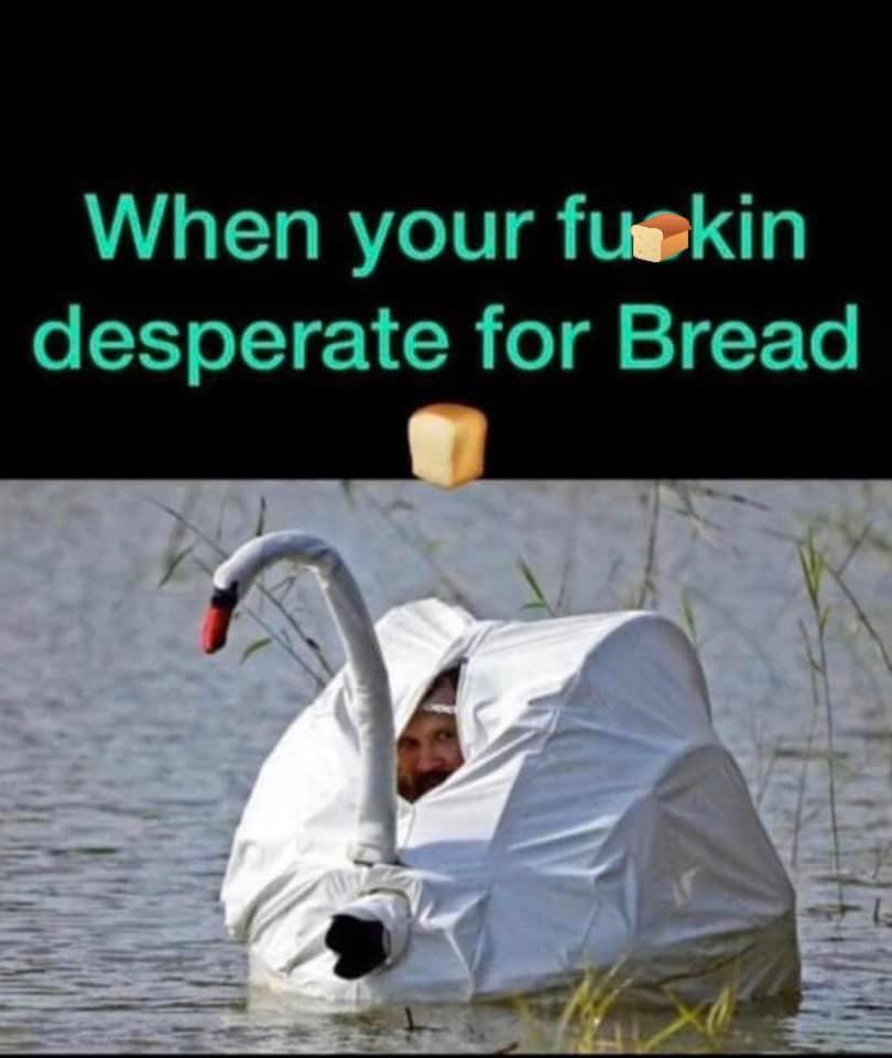 🤣🤣🤣